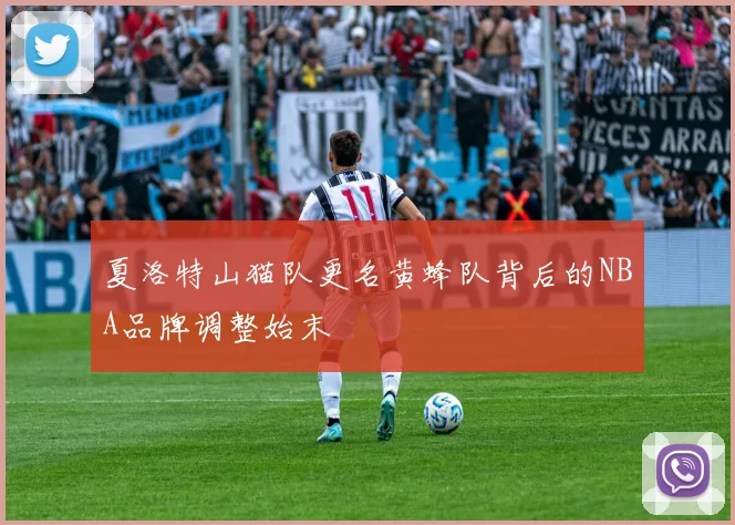 夏洛特山猫队更名黄蜂队背后的NBA品牌调整始末