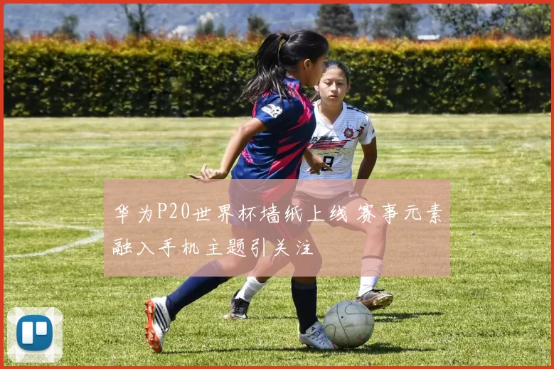 华为P20世界杯墙纸上线 赛事元素融入手机主题引关注