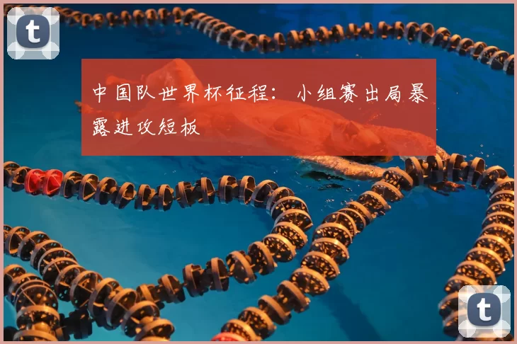 中国队世界杯征程:小组赛出局暴露进攻短板