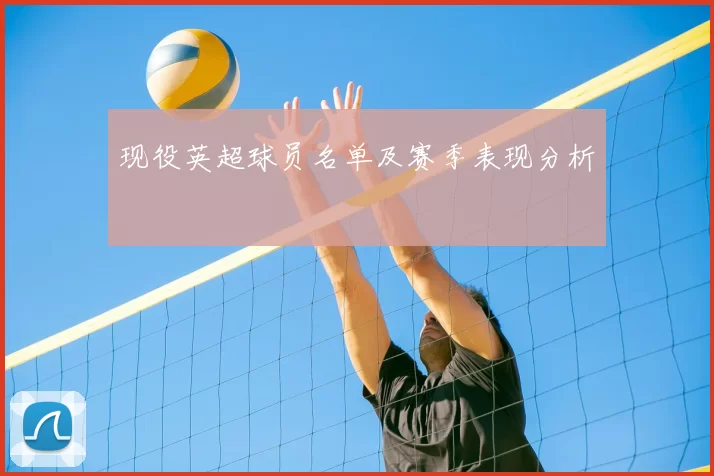 现役英超球员名单及赛季表现分析