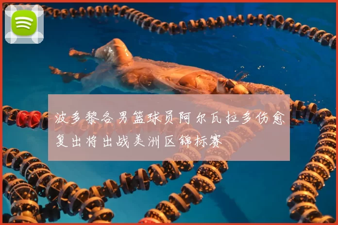 波多黎各男篮球员阿尔瓦拉多伤愈复出将出战美洲区锦标赛