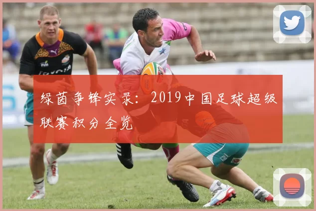 绿茵争锋实录：2019中国足球超级联赛积分全览