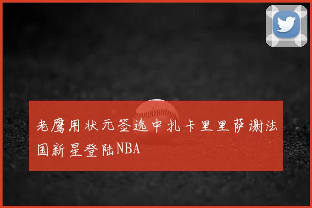 老鹰用状元签选中扎卡里里萨谢法国新星登陆NBA