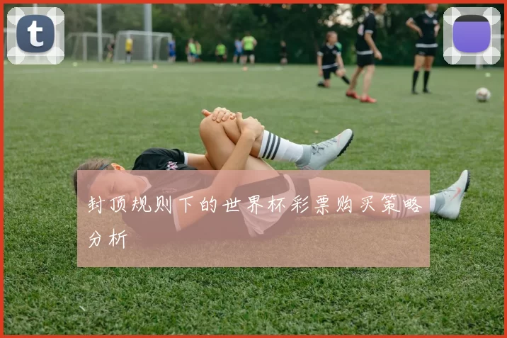封顶规则下的世界杯彩票购买策略分析