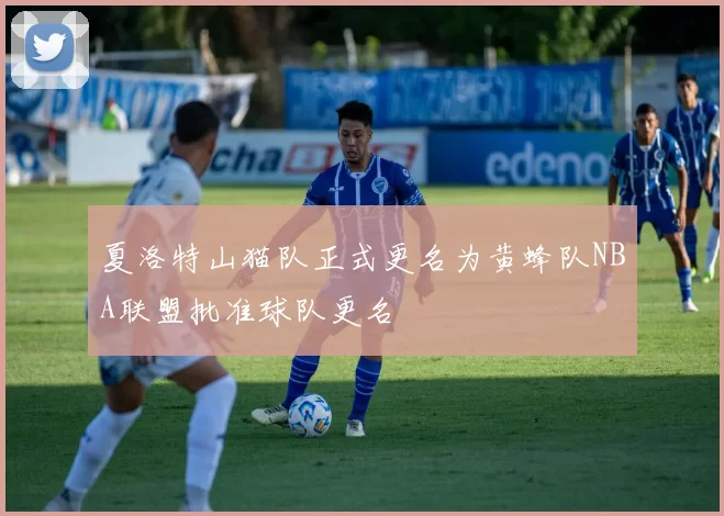 夏洛特山猫队正式更名为黄蜂队NBA联盟批准球队更名