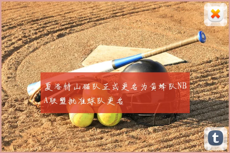 夏洛特山猫队正式更名为黄蜂队NBA联盟批准球队更名