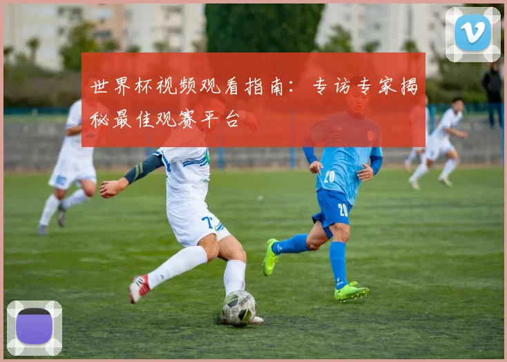 世界杯视频观看指南：专访专家揭秘最佳观赛平台