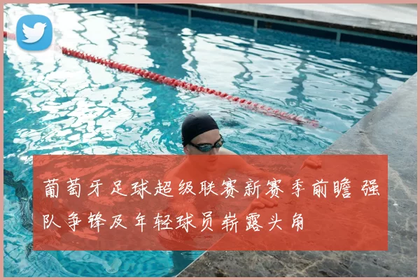 葡萄牙足球超级联赛新赛季前瞻 强队争锋及年轻球员崭露头角