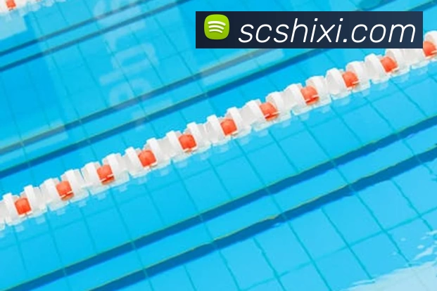 多媒体互动体验